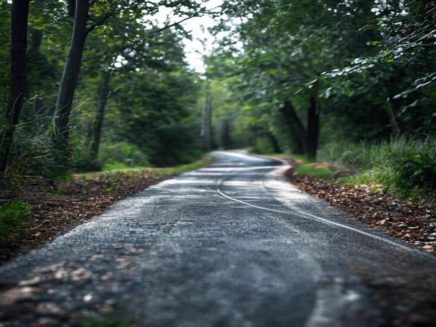 Paving a Long Rural Asphalt Driveway: Cost and Tips