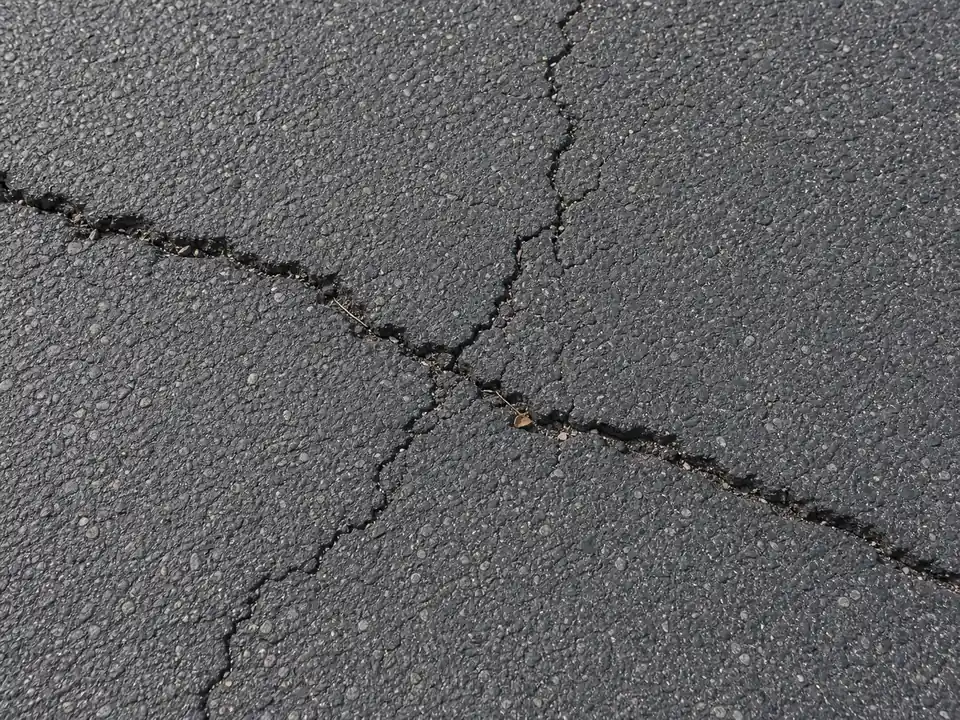 Close-up of branching asphalt driveway cracks used to diagnose the cause